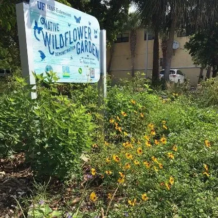 thumbnail for publication: Demonstration Gardens in UF/IFAS Extension
